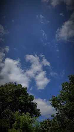  Illa Vera Bandham 💛