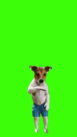 Dog/Cachorro.