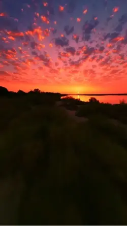 Viral
