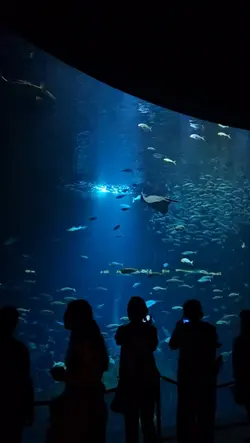 ไออุ่นรัก