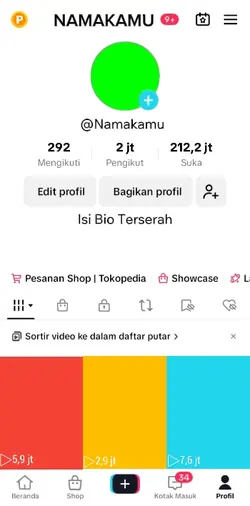 Fake Profil Tiktok 