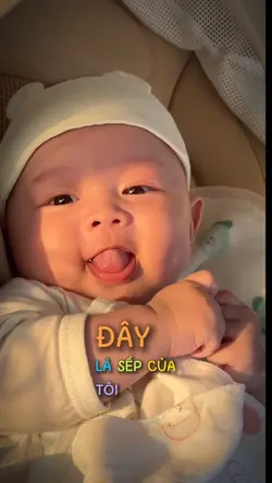 Sếp của tôi