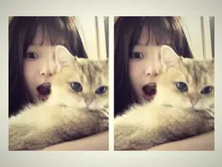 รักแมวคุณมากกว่า😻