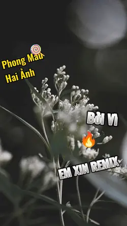 Mẫu Hai ảnh