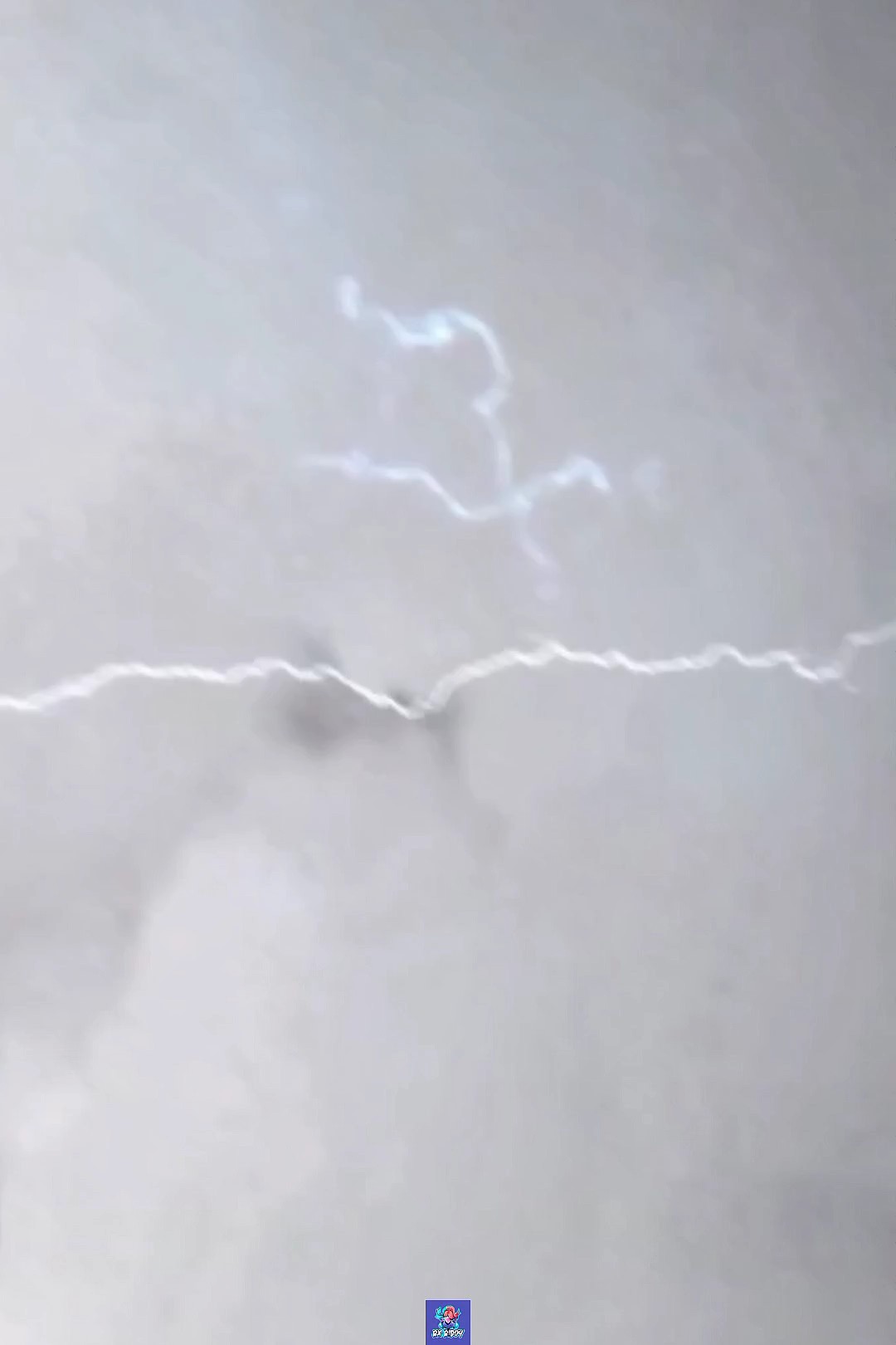 Nova edição de tendências 