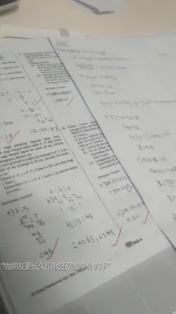 狼狈总比失去难受