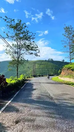 5 video 