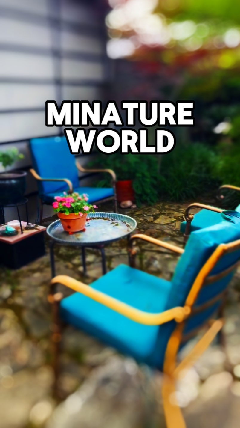 Mini World