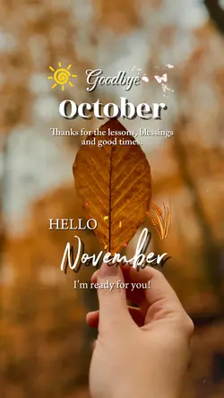 Hello November 🤍