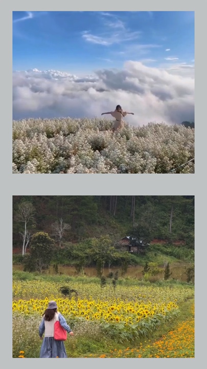 วิดีโอ 2 ช่อง 📸