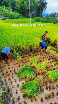 sabar dan yakin 