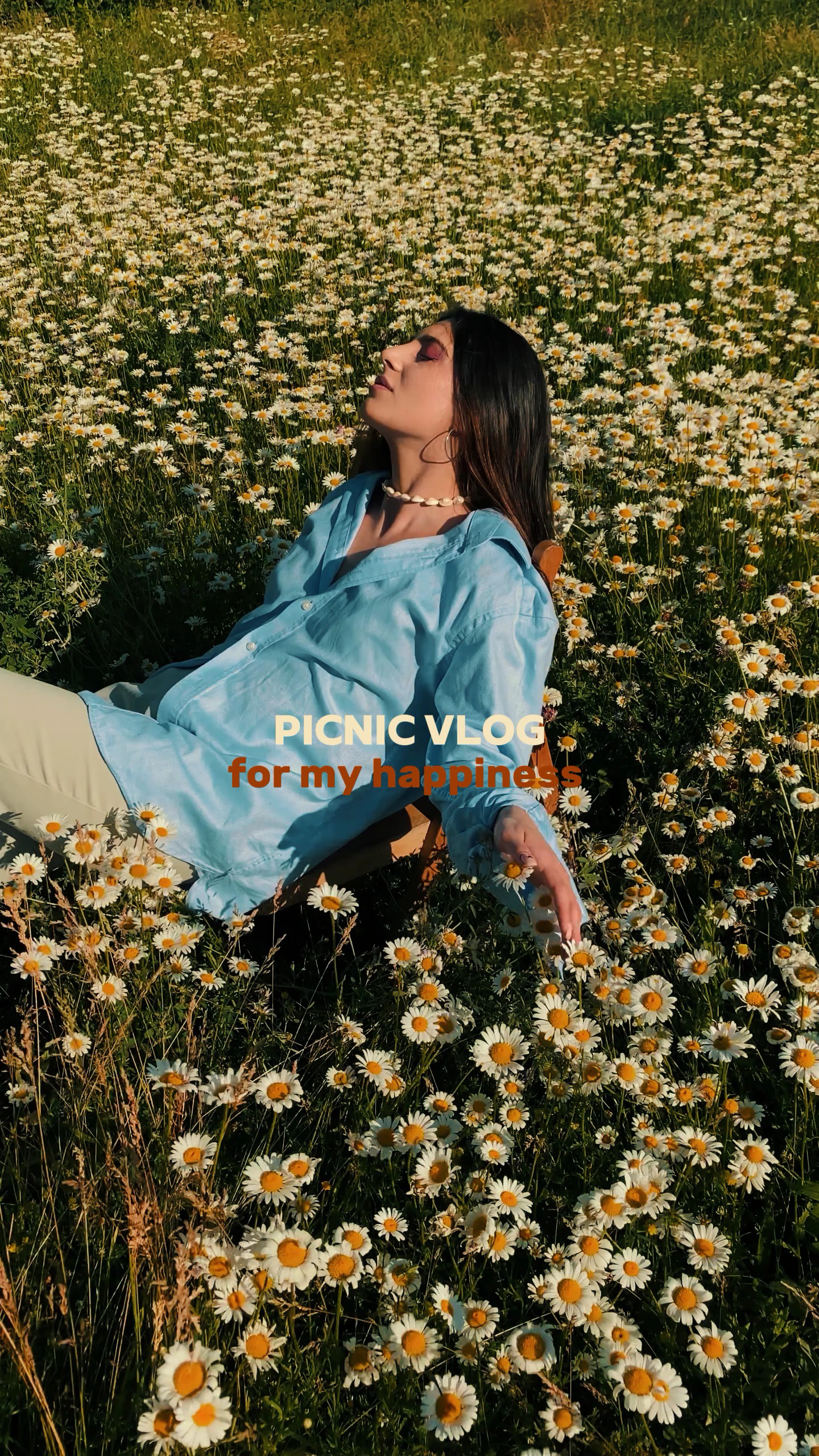 picnic dump