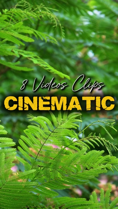Cinématique 8 Vidéos 