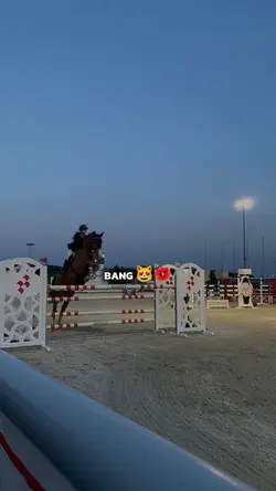 i ride you ride bang