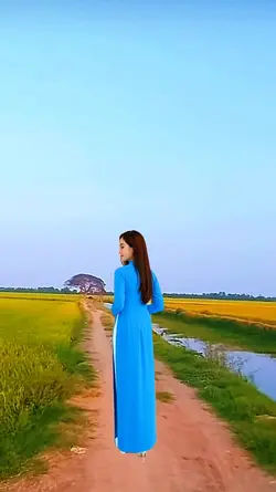 cảnh quê miền tây 