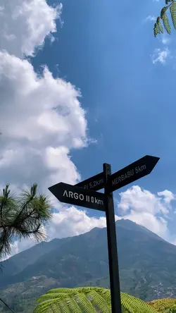 Whatmakesubeautyfull