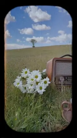 vlog