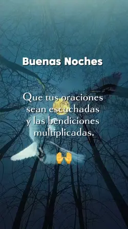 Buenas noches 