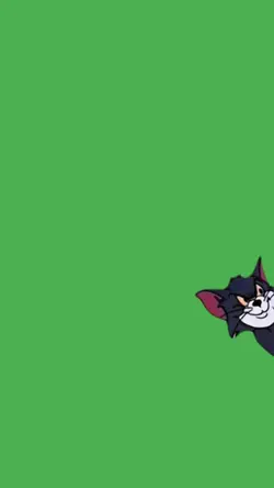 cat Tom