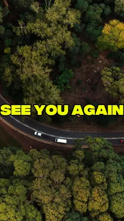 See You Again