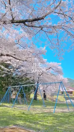 Spring in Japan