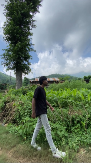 Cover Picture