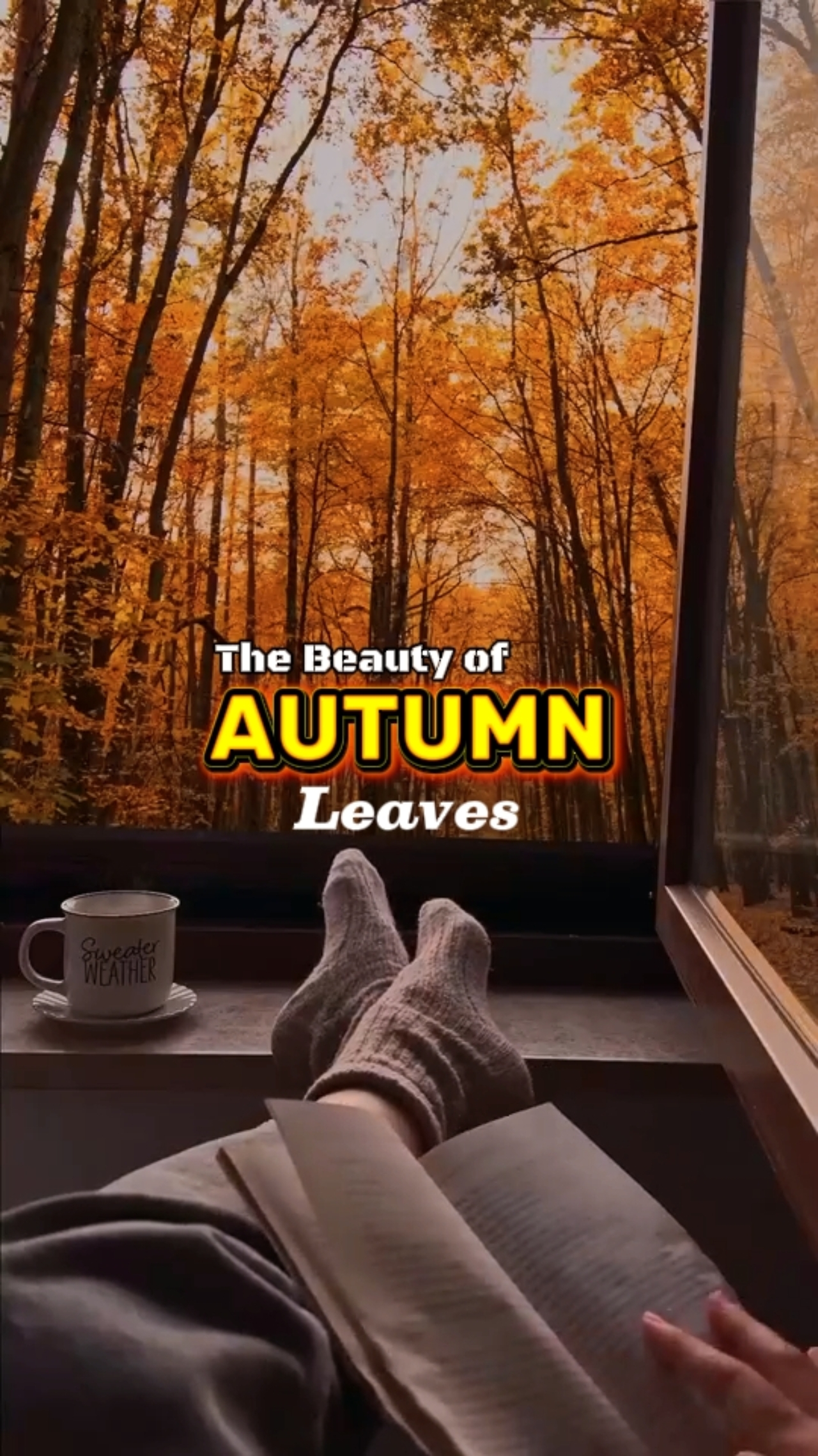 FEUILLES D'AUTOMNE