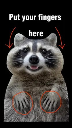 Place your fingers 