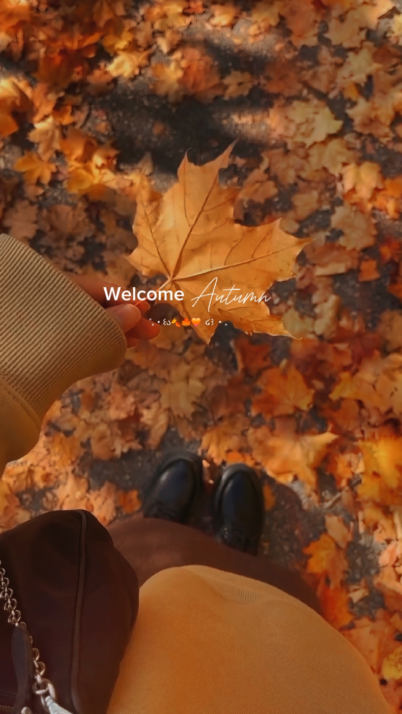 Bienvenue automne