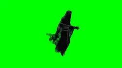flying Ghost