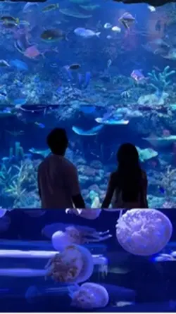 Aquarium date
