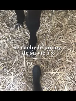Le poney de ma vie