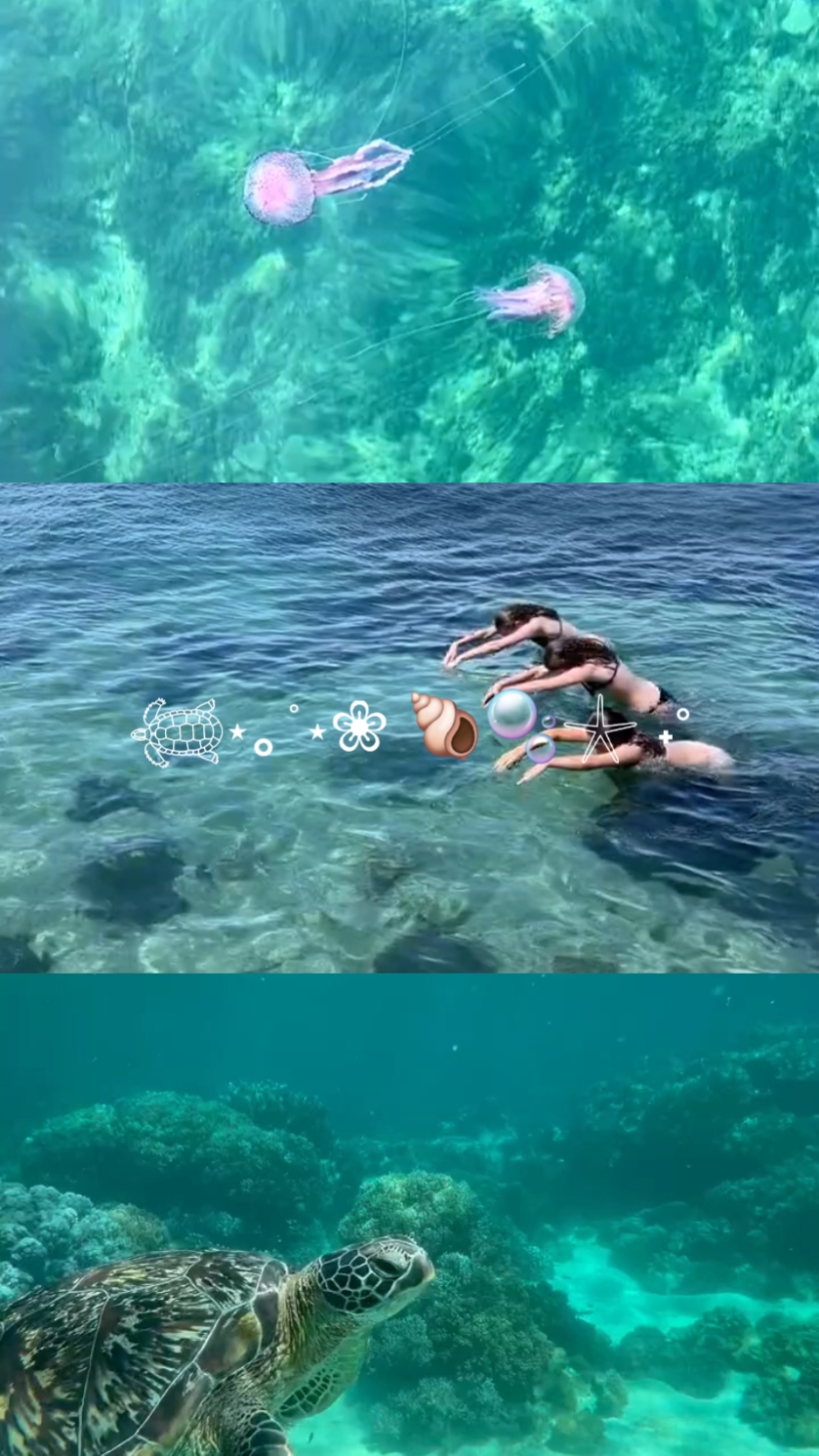 moana vibes