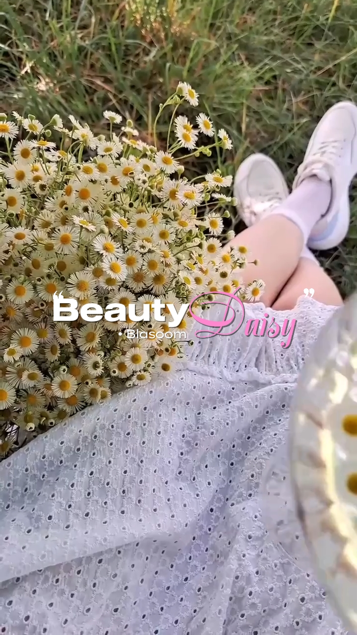 Primavera de margaritas