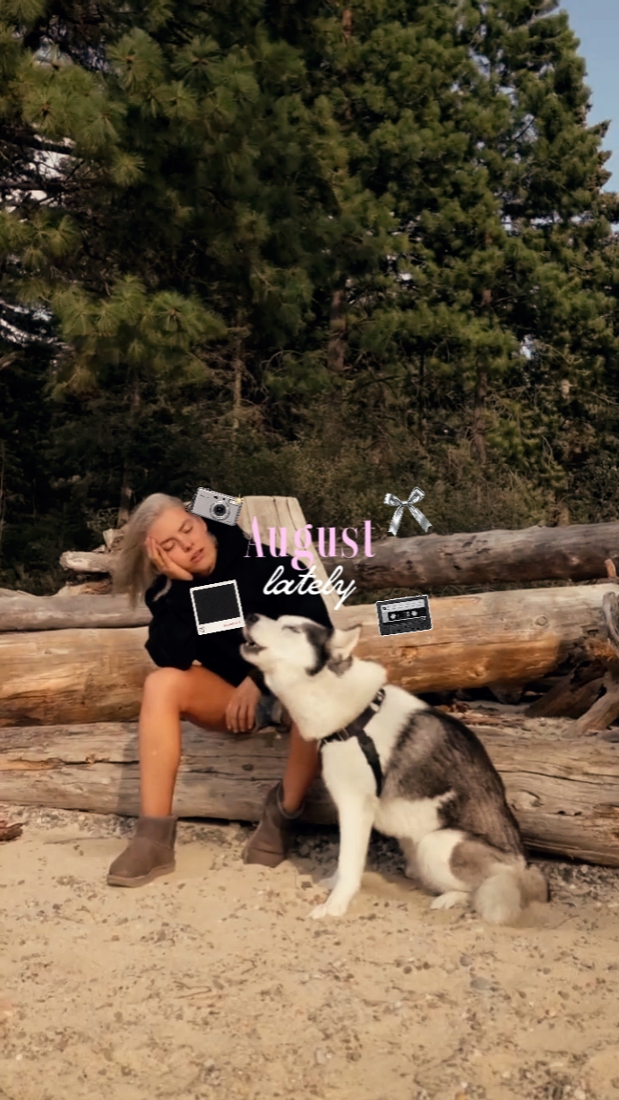 mini vlog 