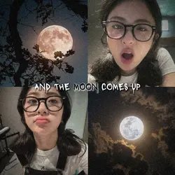 when the sun goes up