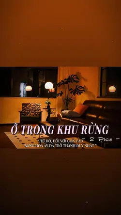 TỪ ĐÓ ĐỐI VS CON CÁO