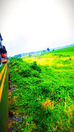 তুমি আমার 