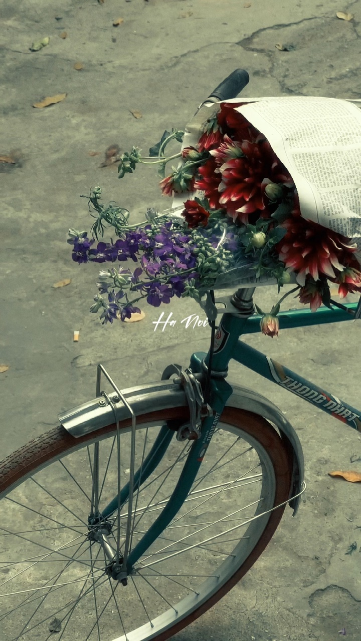 film xinh