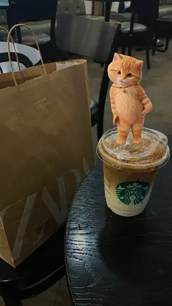 cat dance viral