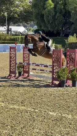 Starships⭐️✈️FAKE⚠️‼️