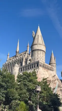 Harry Potter World ⚡️