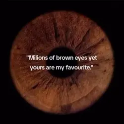 brown eyes 