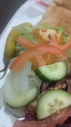 kebab delicious 