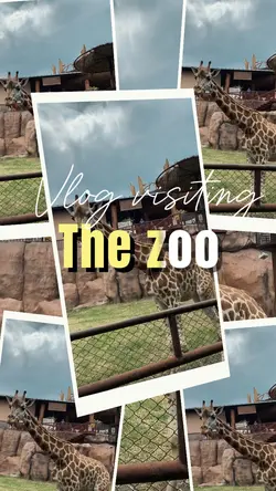 Zoo