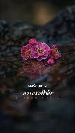 ความรักสีดำ