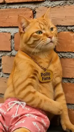 FUNNY CAT