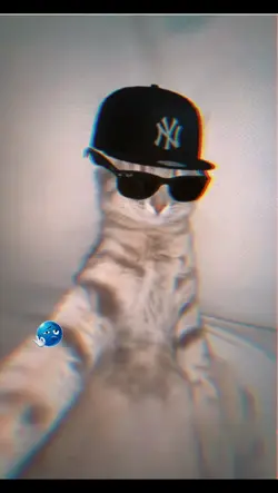 cool cat template 