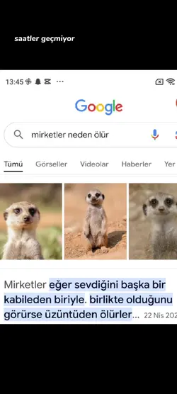 mirket