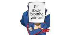 Forgetting your face